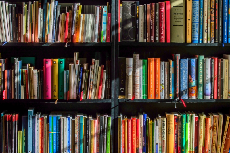 magasin-ST ZACHARIE-min_books_bookstore_book_reading_shop_writer_sale_books_read-822866